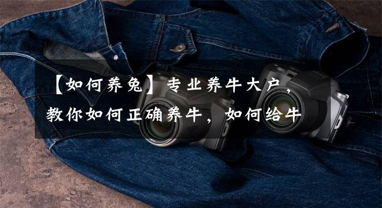 【如何养兔】专业养牛大户，教你如何正确养牛，如何给牛进行繁殖