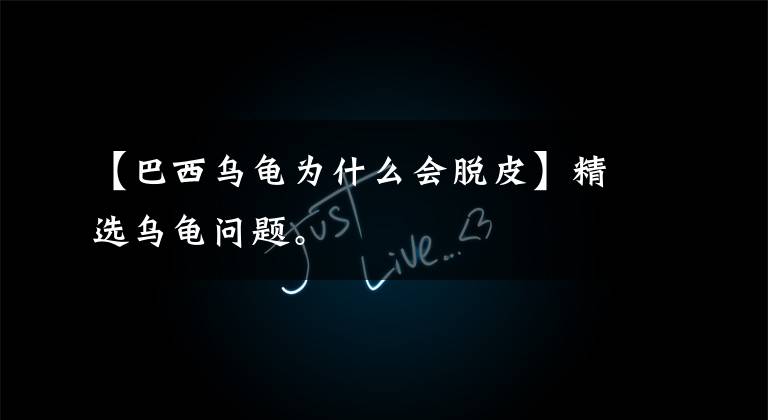 【巴西乌龟为什么会脱皮】精选乌龟问题。