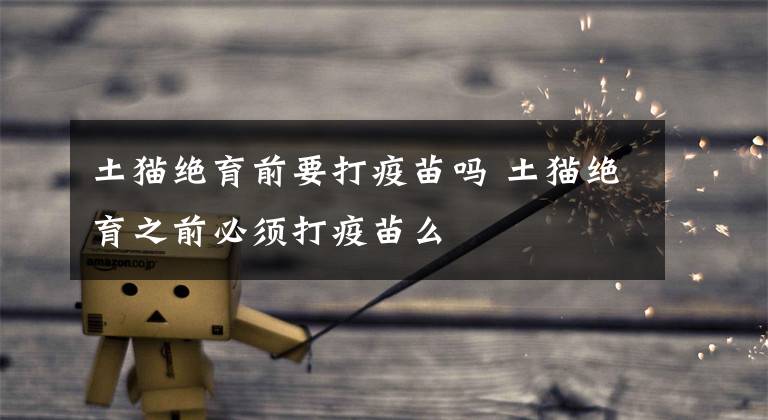 土猫绝育前要打疫苗吗 土猫绝育之前必须打疫苗么