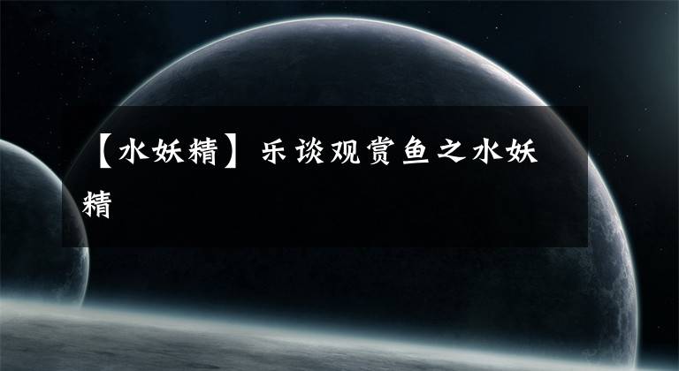 【水妖精】乐谈观赏鱼之水妖精