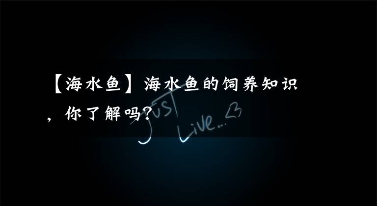 【海水鱼】海水鱼的饲养知识，你了解吗？