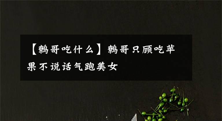 【鹩哥吃什么】鹩哥只顾吃苹果不说话气跑美女