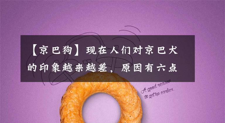 【京巴狗】现在人们对京巴犬的印象越来越差，原因有六点