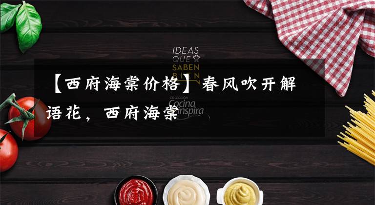 【西府海棠价格】春风吹开解语花，西府海棠