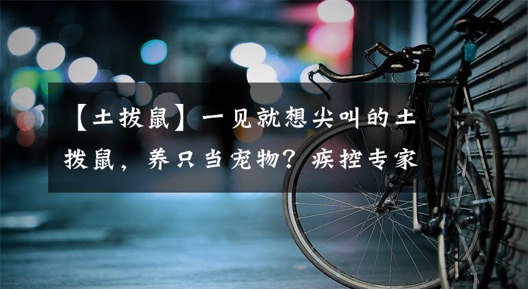 【土拔鼠】一见就想尖叫的土拨鼠,养只当宠物?疾控专家:小心,有危险