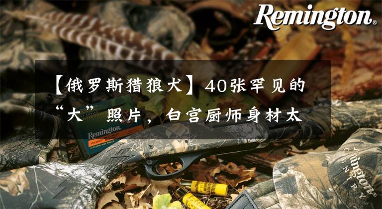 【俄罗斯猎狼犬】40张罕见的“大”照片,白宫厨师身材太霸气,怎么看都不像厨子