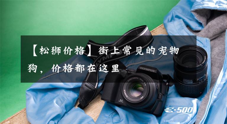 【松狮价格】街上常见的宠物狗，价格都在这里