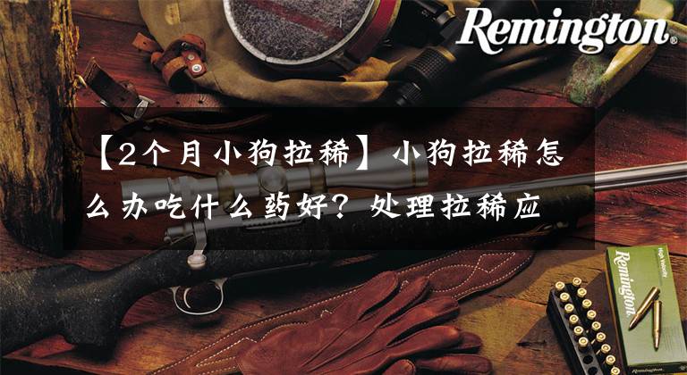 【2个月小狗拉稀】小狗拉稀怎么办吃什么药好？处理拉稀应该采取的4大措施参考