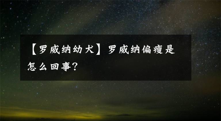 【罗威纳幼犬】罗威纳偏瘦是怎么回事?