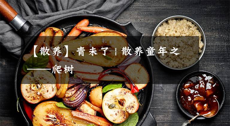 【散养】青未了 | 散养童年之——爬树