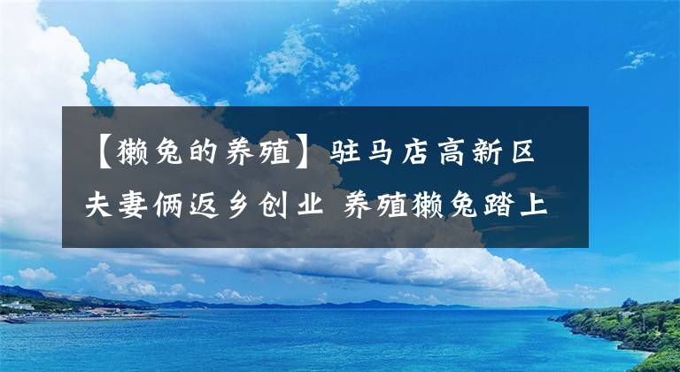 【獭兔的养殖】驻马店高新区夫妻俩返乡创业 养殖獭兔踏上致富路