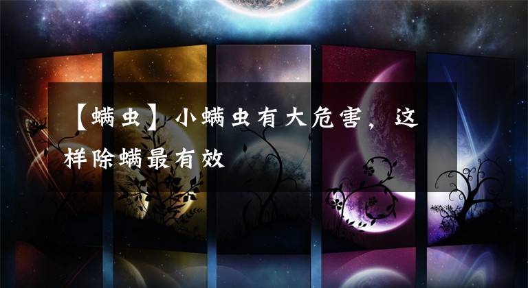 【螨虫】小螨虫有大危害,这样除螨最有效