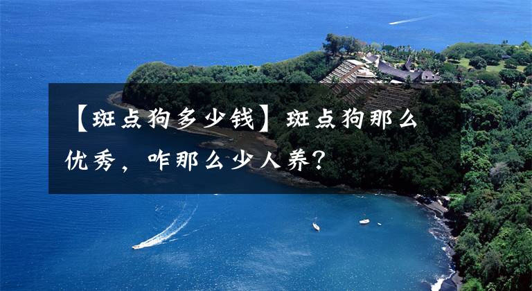 【斑点狗多少钱】斑点狗那么优秀，咋那么少人养？
