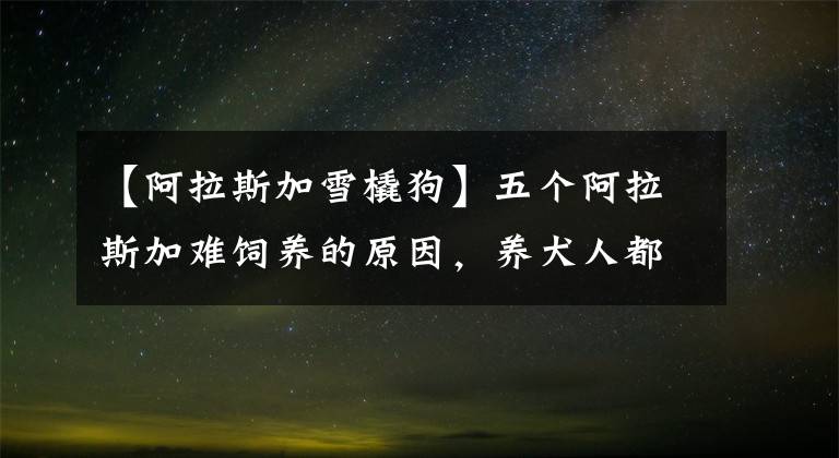 【阿拉斯加雪橇狗】五个阿拉斯加难饲养的原因，养犬人都要知道，做个合格的养犬人