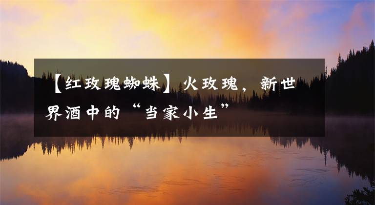 【红玫瑰蜘蛛】火玫瑰，新世界酒中的“当家小生”