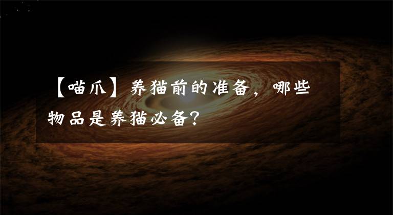 【喵爪】养猫前的准备,哪些物品是养猫必备?