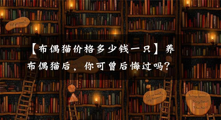 【布偶猫价格多少钱一只】养布偶猫后，你可曾后悔过吗？