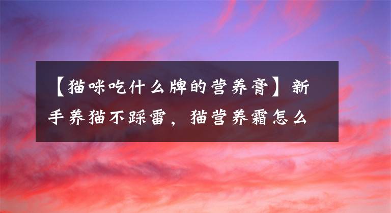 【猫咪吃什么牌的营养膏】新手养猫不踩雷,猫营养霜怎么选?
