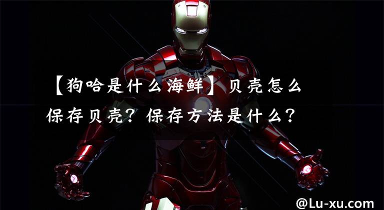 【狗哈是什么海鲜】贝壳怎么保存贝壳?保存方法是什么?