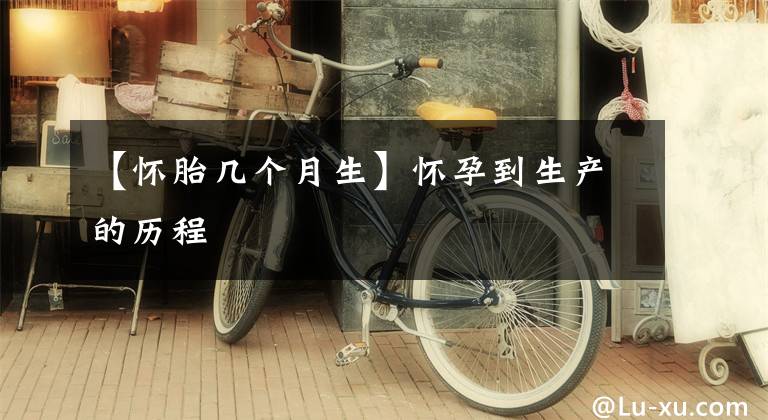 【怀胎几个月生】怀孕到生产的历程