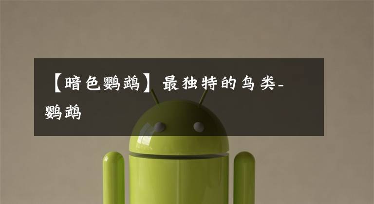 【暗色鹦鹉】最独特的鸟类-鸮鹦鹉