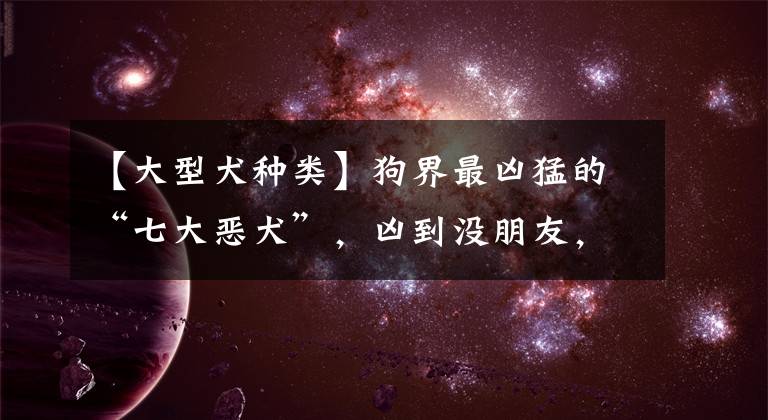 【大型犬种类】狗界最凶猛的“七大恶犬”,凶到没朋友,第一实至名归