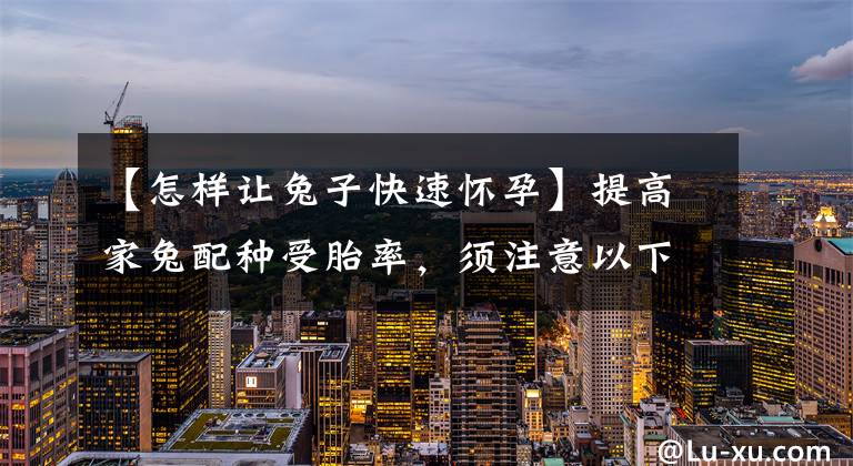 【怎样让兔子快速怀孕】提高家兔配种受胎率,须注意以下几点