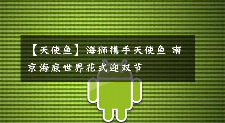 【天使鱼】海狮携手天使鱼 南京海底世界花式迎双节