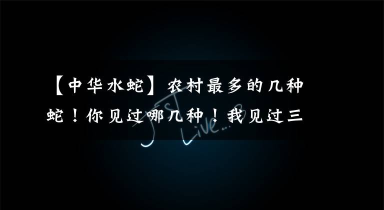 【中华水蛇】农村最多的几种蛇!你见过哪几种!我见过三种