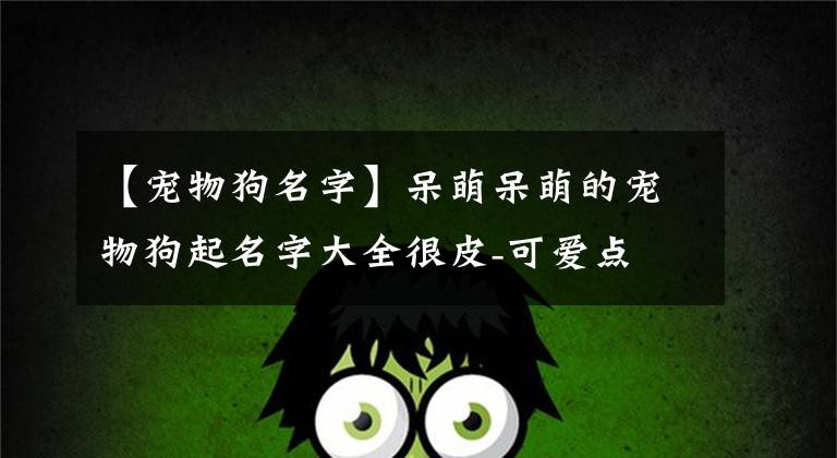 【宠物狗名字】呆萌呆萌的宠物狗起名字大全很皮-可爱点