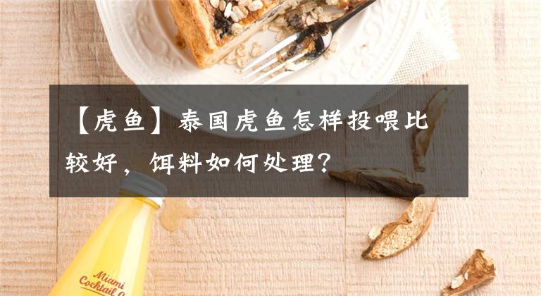 【虎鱼】泰国虎鱼怎样投喂比较好，饵料如何处理？