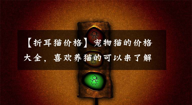 【折耳猫价格】宠物猫的价格大全，喜欢养猫的可以来了解探讨下