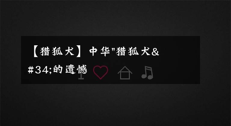 【猎狐犬】中华"猎狐犬"的遗憾