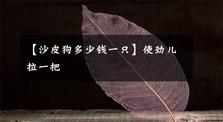 【沙皮狗多少钱一只】使劲儿拉一把