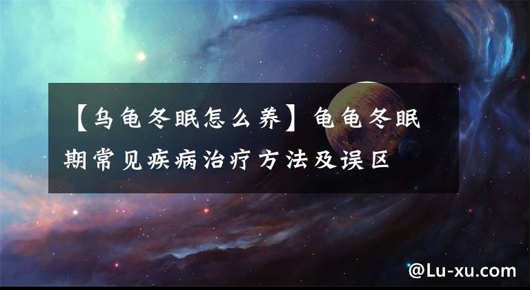 【乌龟冬眠怎么养】龟龟冬眠期常见疾病治疗方法及误区