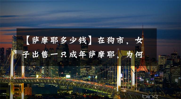 【萨摩耶多少钱】在狗市，女子出售一只成年萨摩耶，为何半天无人购买？嫌价格太贵