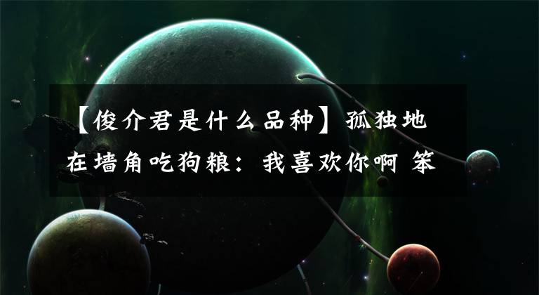 【俊介君是什么品种】孤独地在墙角吃狗粮：我喜欢你啊 笨蛋（另一个故事）