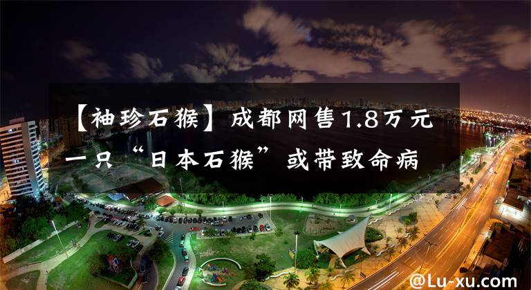 【袖珍石猴】成都网售1.8万元一只“日本石猴”或带致命病毒