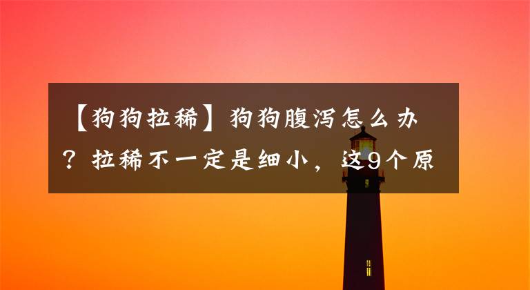 【狗狗拉稀】狗狗腹泻怎么办?拉稀不一定是细小,这9个原因帮主人找出元凶