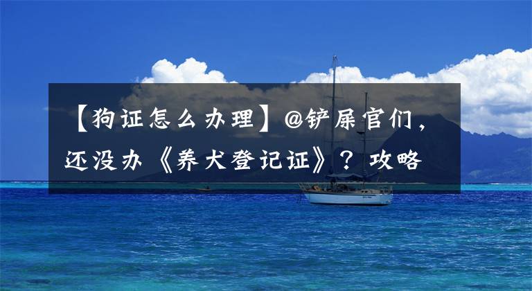 【狗证怎么办理】@铲屎官们,还没办《养犬登记证》?攻略在此→