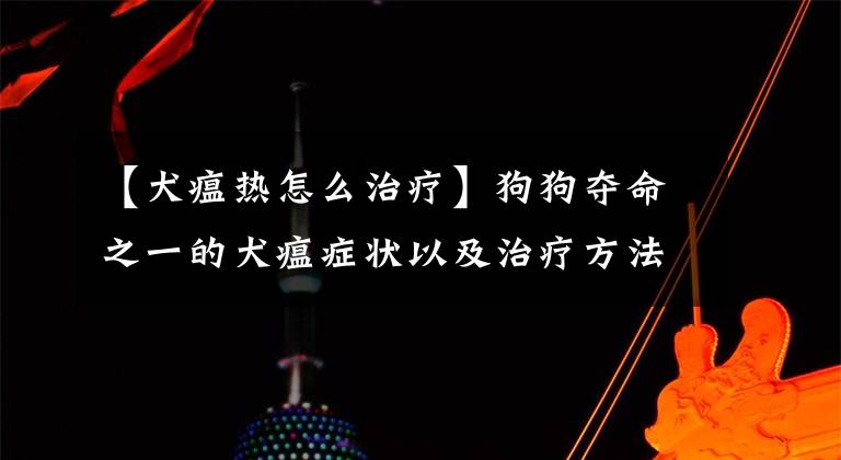 【犬瘟热怎么治疗】狗狗夺命之一的犬瘟症状以及治疗方法