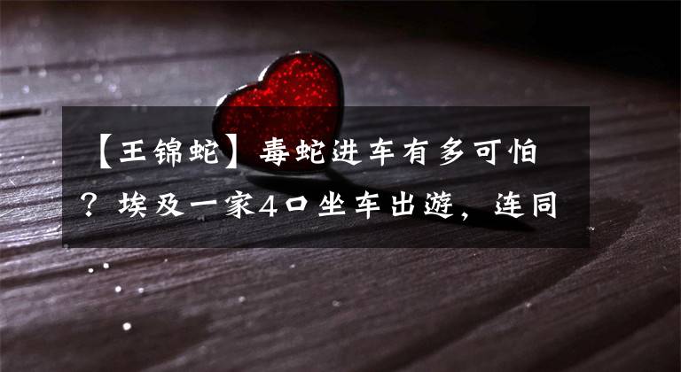 【王锦蛇】毒蛇进车有多可怕？埃及一家4口坐车出游，连同司机一起被咬身亡