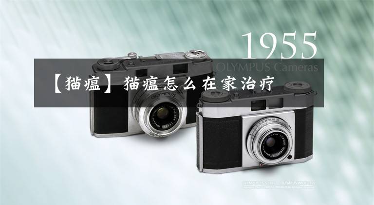 【猫瘟】猫瘟怎么在家治疗