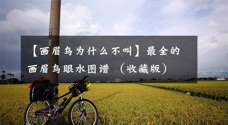 【画眉鸟为什么不叫】最全的画眉鸟眼水图谱 (收藏版)