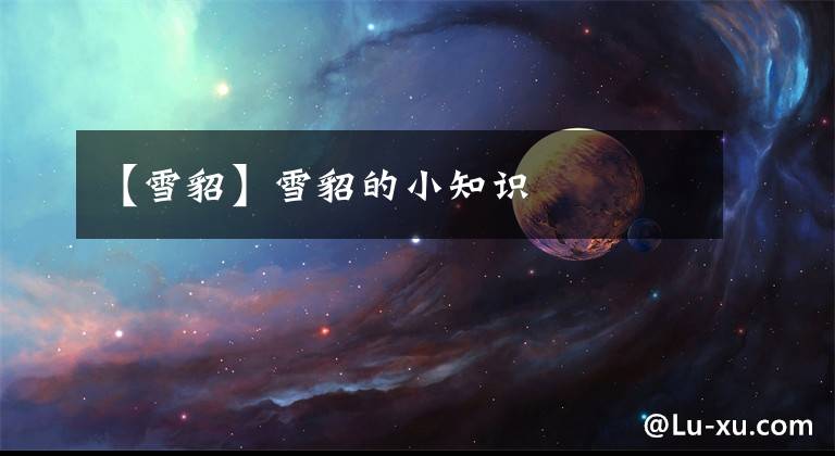 【雪貂】雪貂的小知识