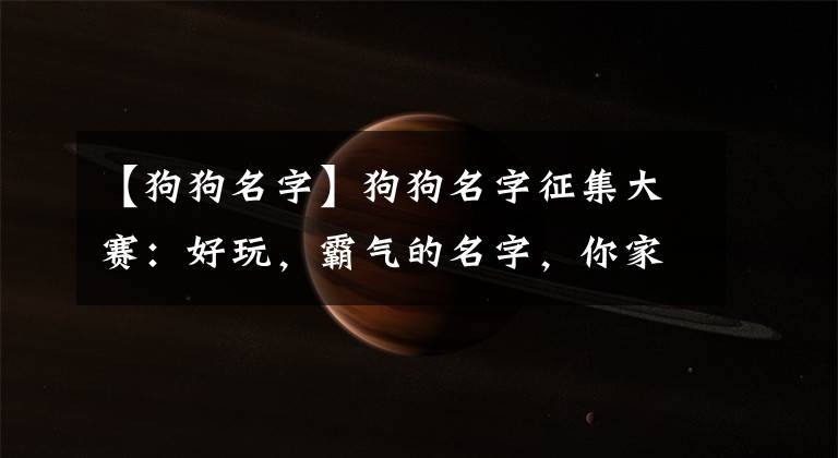 【狗狗名字】狗狗名字征集大赛：好玩，霸气的名字，你家叫什么？