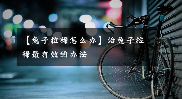 【兔子拉稀怎么办】治兔子拉稀最有效的办法