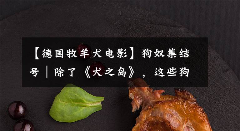 【德国牧羊犬电影】狗奴集结号｜除了《犬之岛》，这些狗狗电影你看过吗？