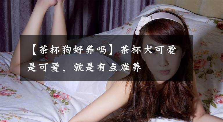 【茶杯狗好养吗】茶杯犬可爱是可爱，就是有点难养