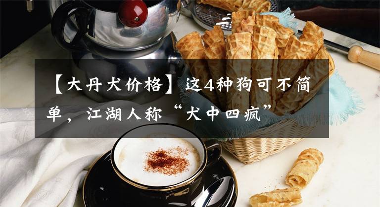 【大丹犬价格】这4种狗可不简单,江湖人称“犬中四疯”